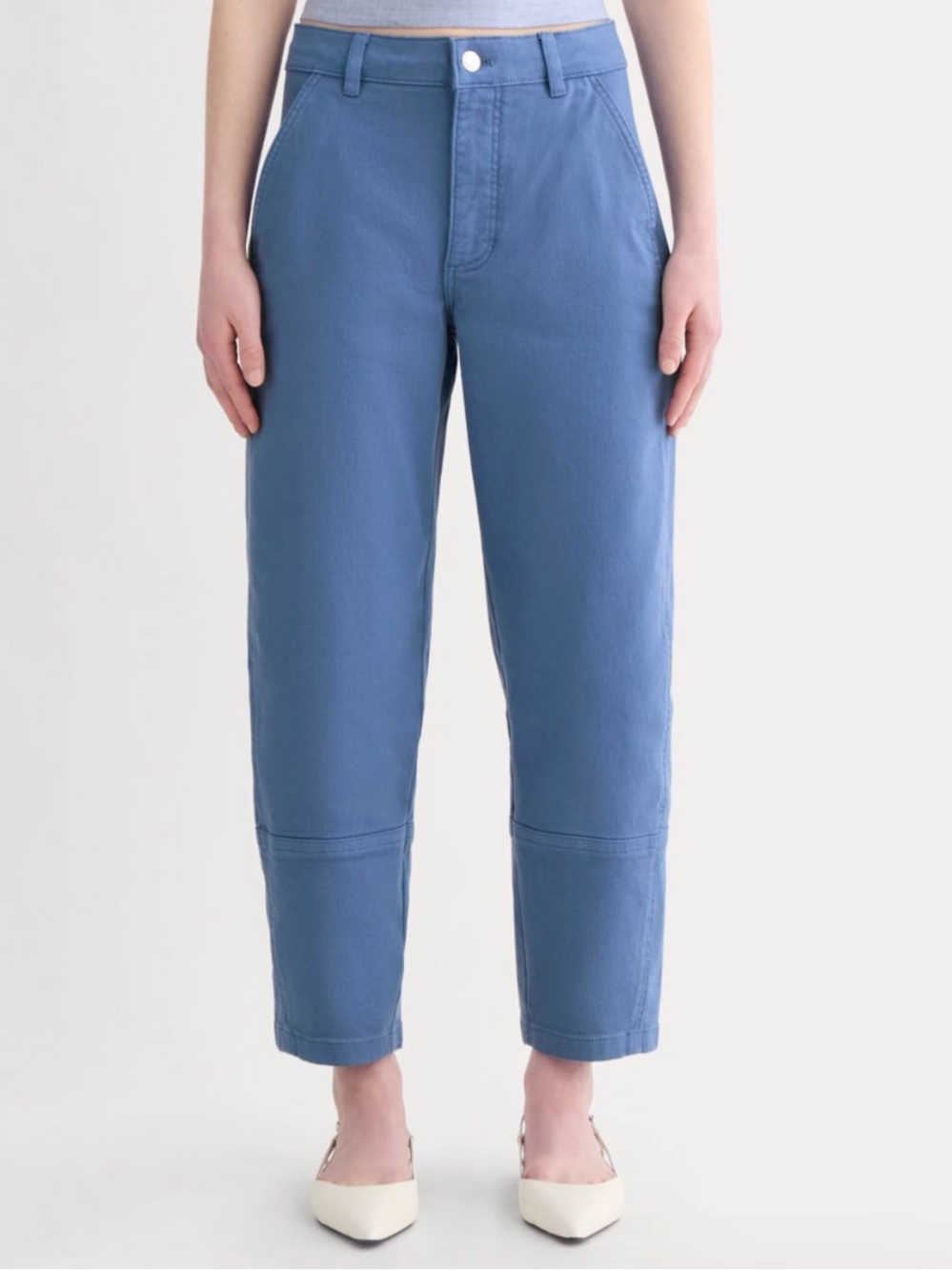 Everlane Utility Barrel Pant NWT | cornflower blue